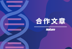 登顶Nature|产量+抗性，鱼和熊掌也可兼得